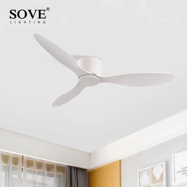 Modern DC Ceiling Fan with Remote Control