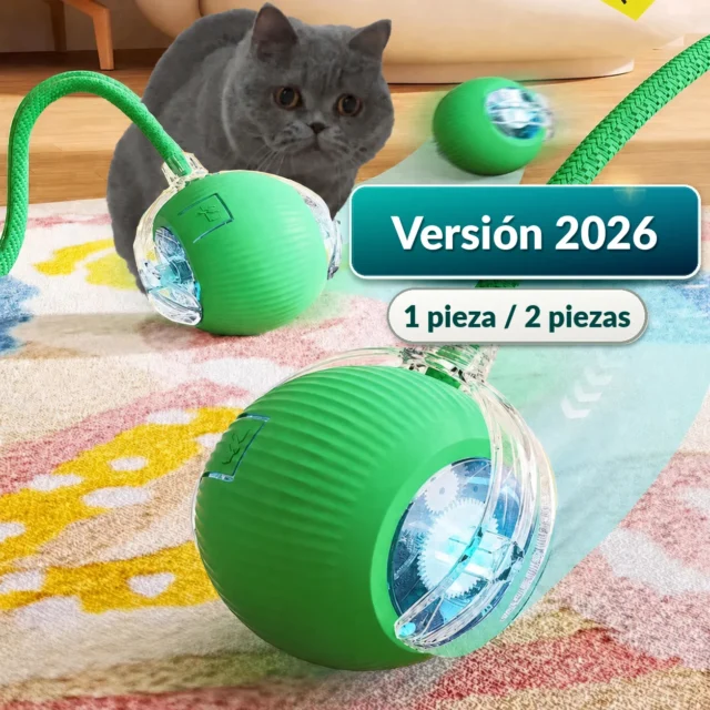 pelota automática gatos - Pelota automática rodante recargable para gatos