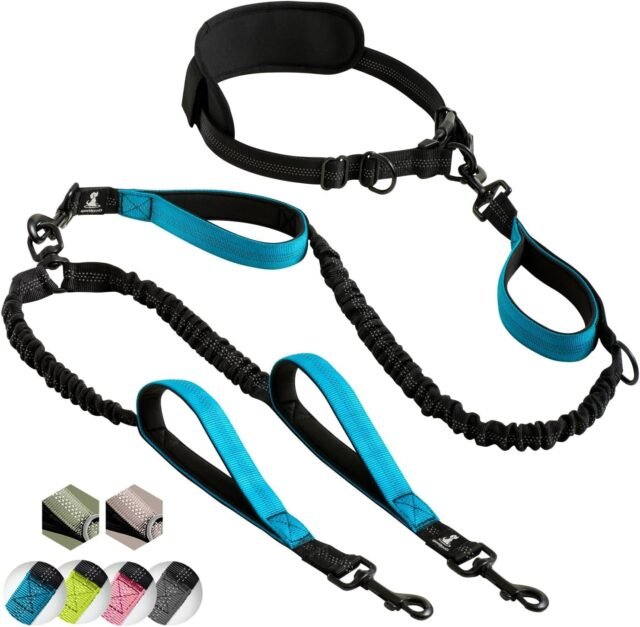 SparklyPets - Correa Doble Manos Libres para Perros de Raza Mediana y Grande