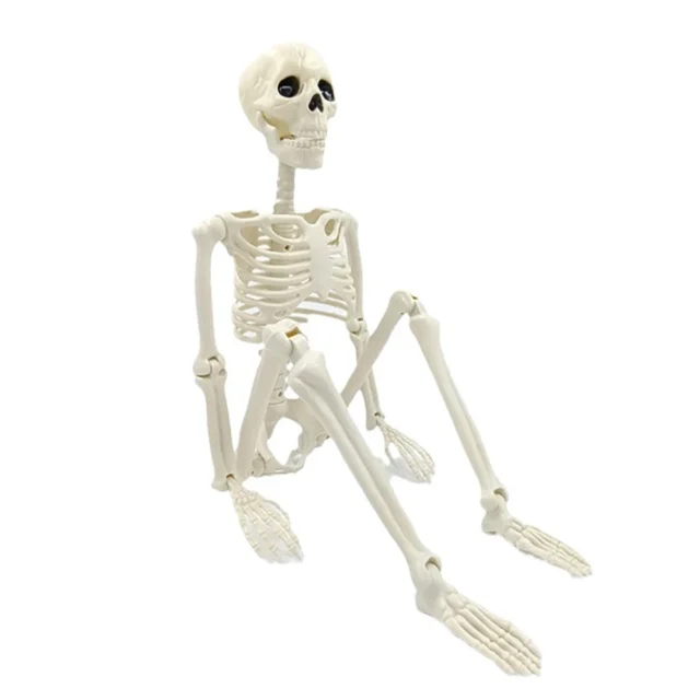 Esqueleto portátil para decoración de Halloween