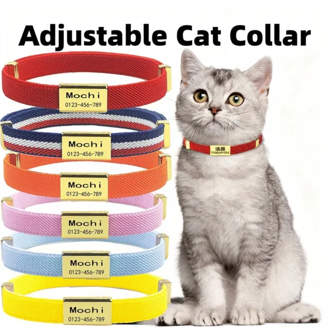 Collar para gato personalizable con placa grabada